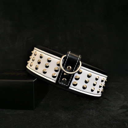 "Star" collar - Tampa Home & Garden Store