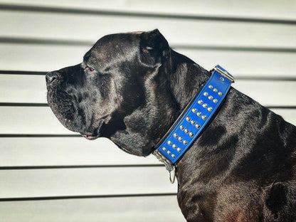 "Star" collar - Tampa Home & Garden Store