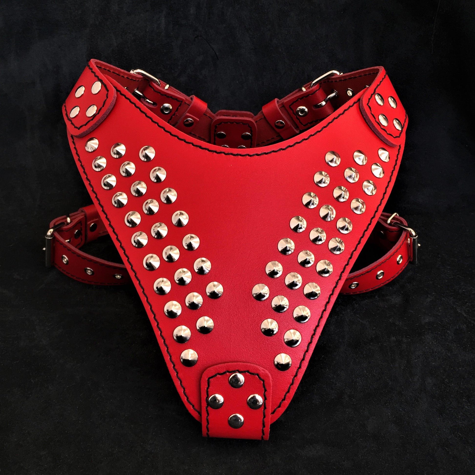 "Star" harness - Tampa Home & Garden Store