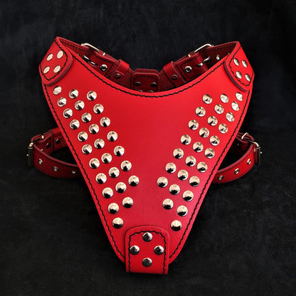 "Star" harness - Tampa Home & Garden Store