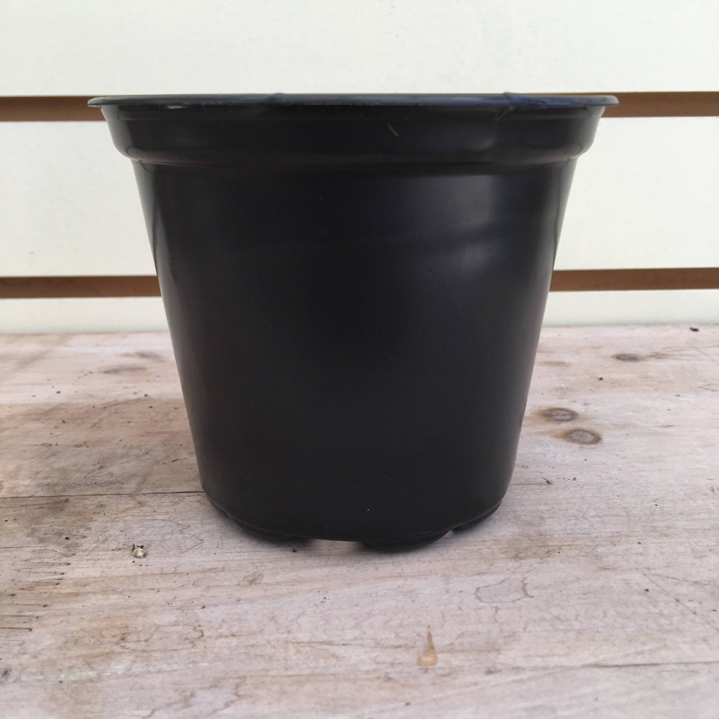 Starter Kit for 2 Large Plugs - Tampa Home & Garden Store