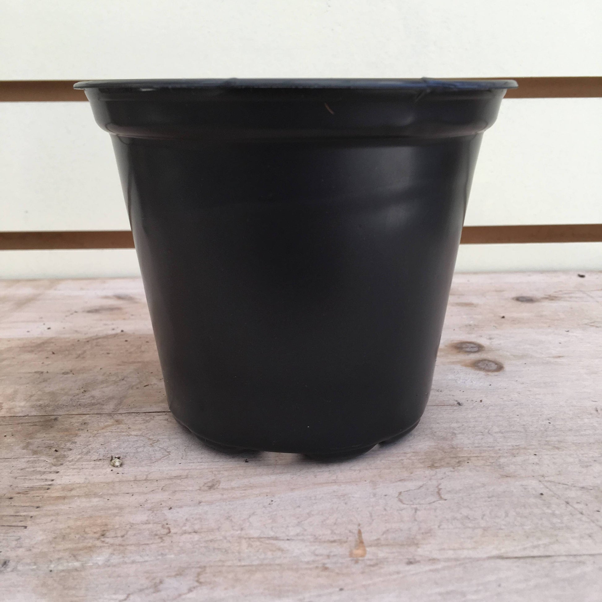 Starter Kit for 2 Large Plugs - Tampa Home & Garden Store