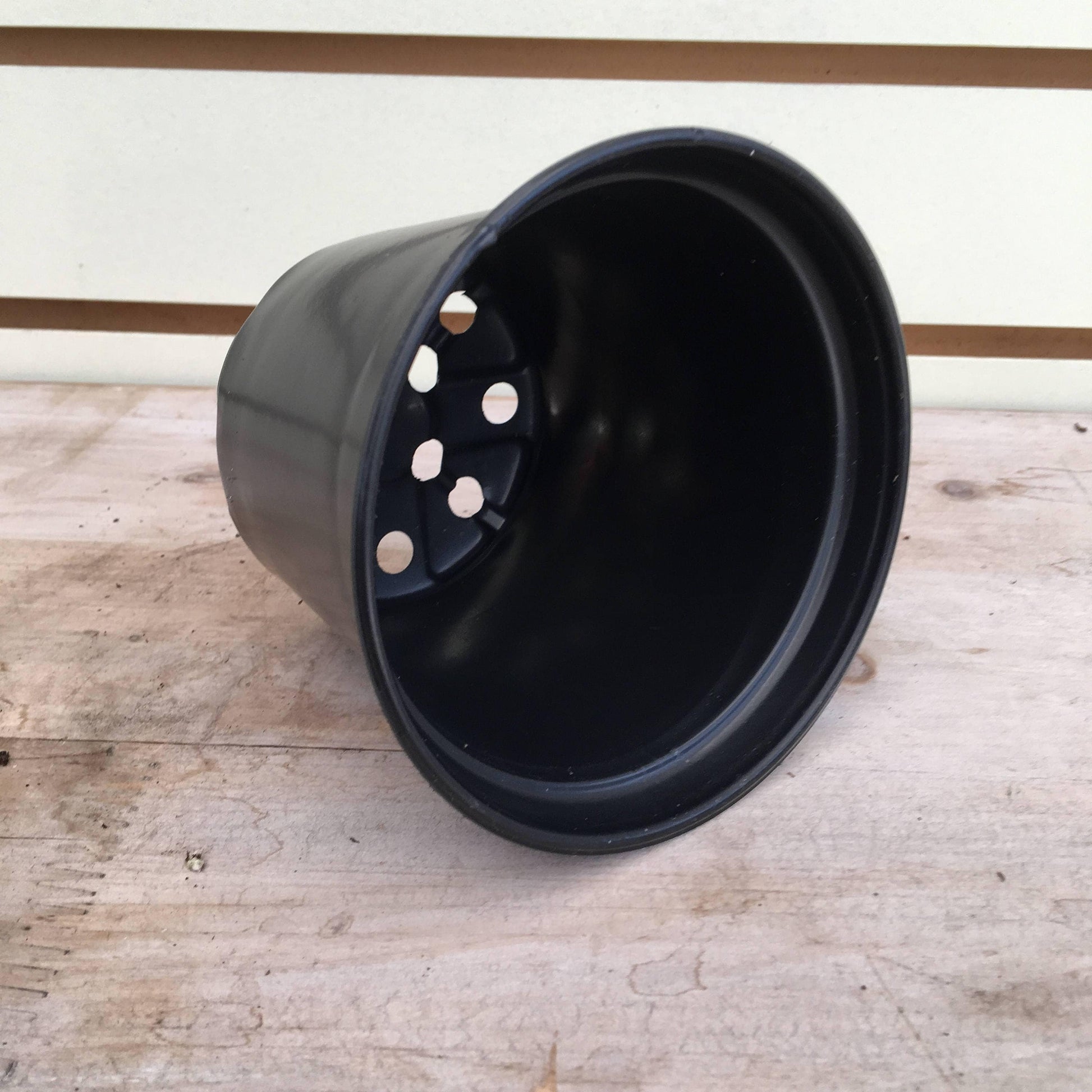 Starter Kit for 2 Large Plugs - Tampa Home & Garden Store