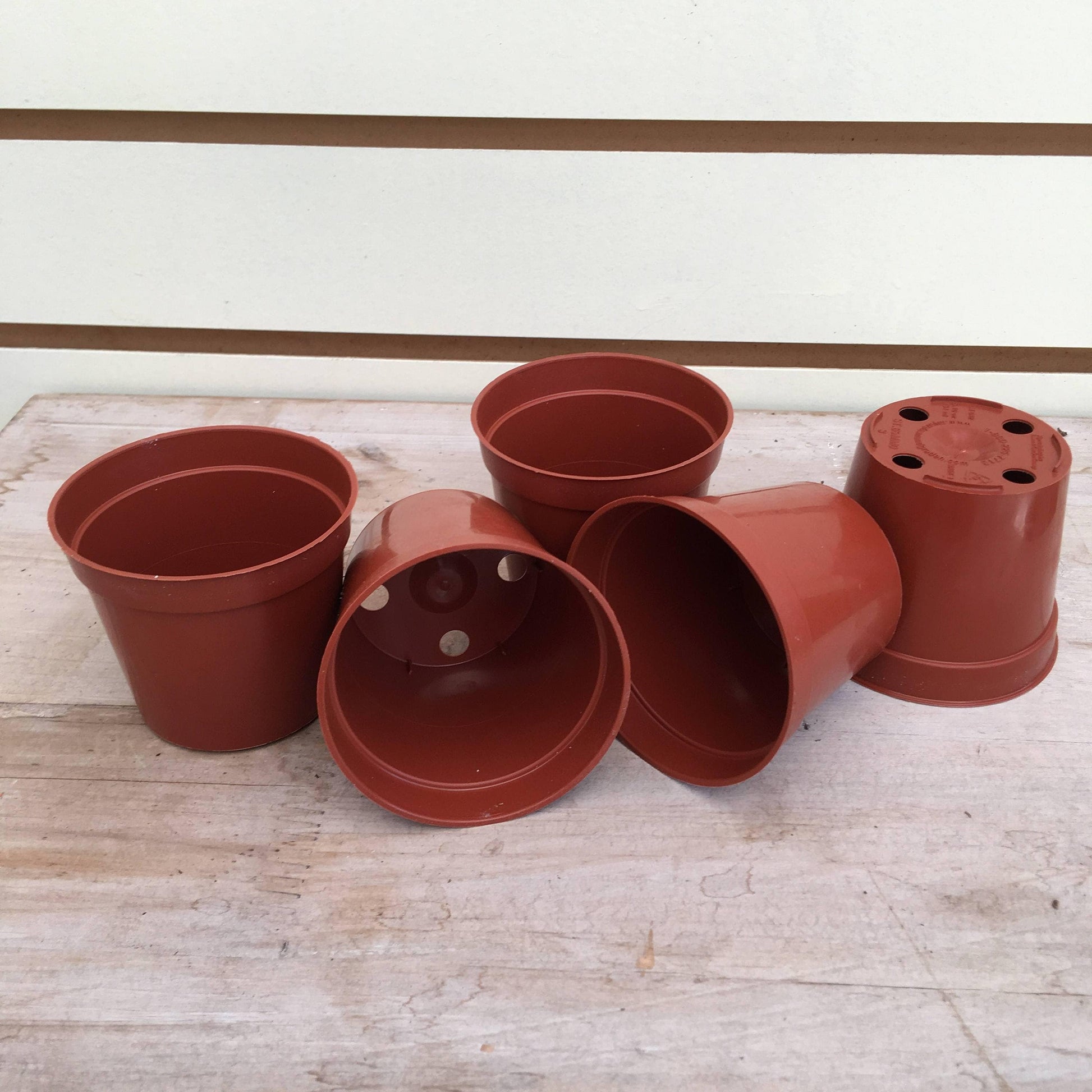 Starter Kit for 5 Small Plugs - Tampa Home & Garden Store