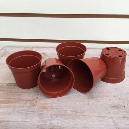 Starter Kit for 5 Small Plugs - Tampa Home & Garden Store