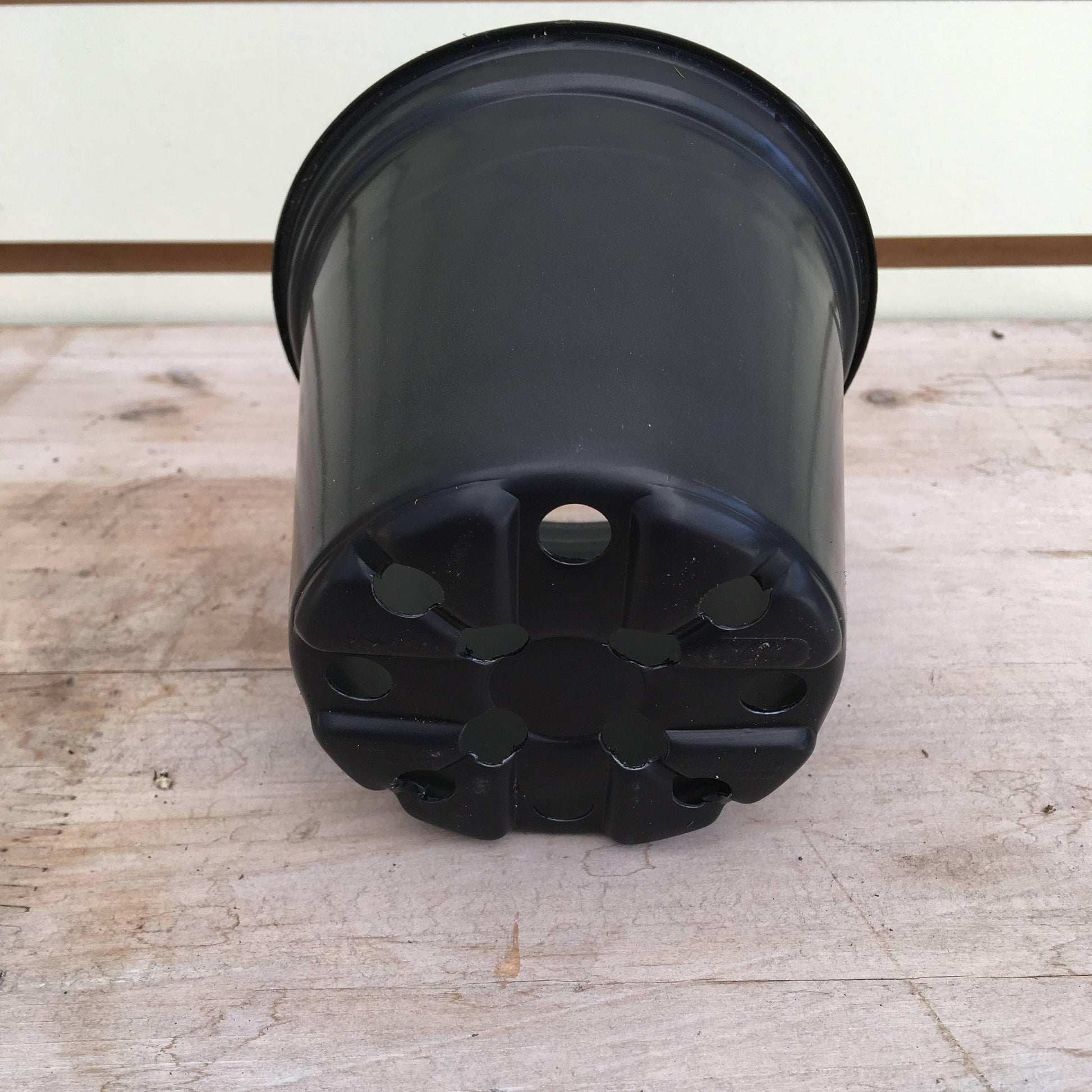 Starter Kit for Large Cuttings (2 Pots) - Tampa Home & Garden Store