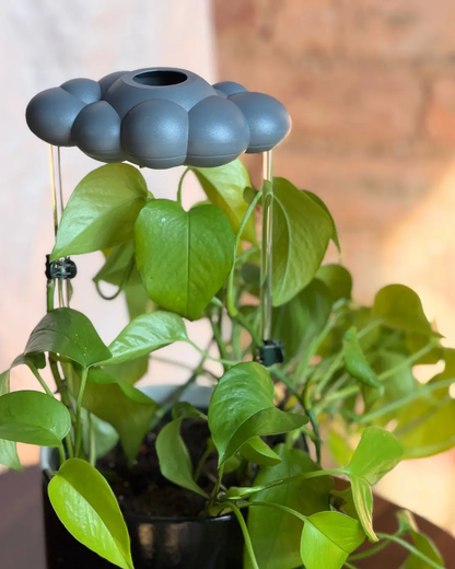 Stormy Dripping Rain Cloud Plant Waterer, gray cloud top, watering globe by The Cloud Makers on Tampa Home & Garden Store