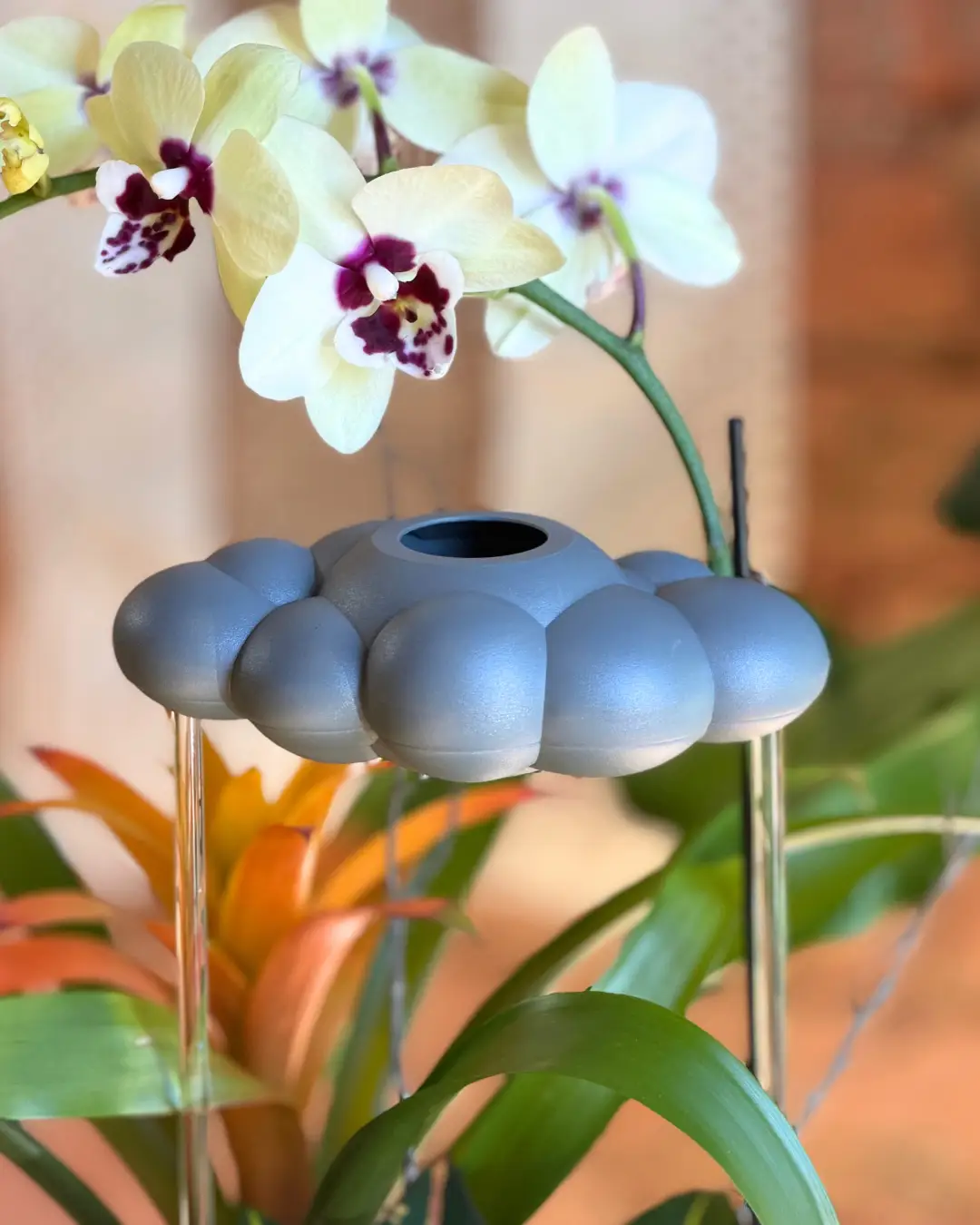Stormy Dripping Rain Cloud Plant Waterer, blue-grey bubble-dome watering globe for houseplants on Tampa Home & Garden Store