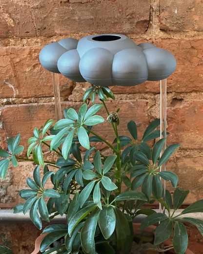 Stormy Dripping Rain Cloud Plant Waterer, blue-gray cloud globe on clear stems above a houseplant on Tampa Home & Garden Store