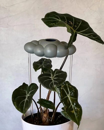 Stormy Dripping Rain Cloud Plant Waterer gray cloud top with bubble pods on a clear stand on Tampa Home & Garden Store