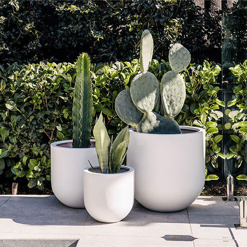 The Straight Up Planter | Small Contemporary Indoor Pot