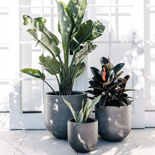 The Straight Up Planter | Small Contemporary Indoor Pot