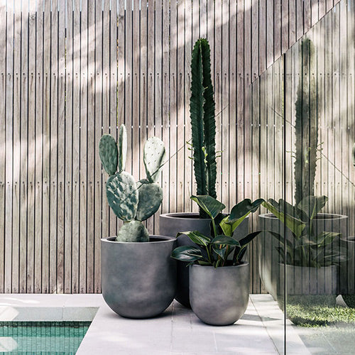 The Straight Up Planter | Small Contemporary Indoor Pot