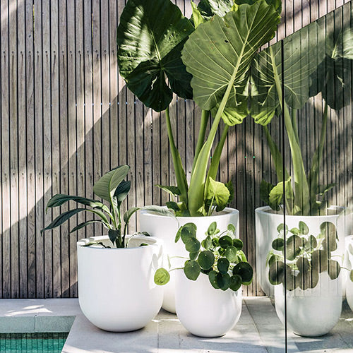 The Straight Up Planter | Small Contemporary Indoor Pot