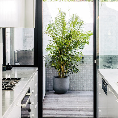 The Straight Up Planter | Small Contemporary Indoor Pot