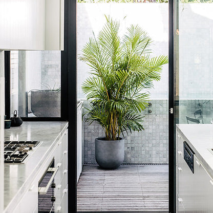 The Straight Up Planter | Small Contemporary Indoor Pot