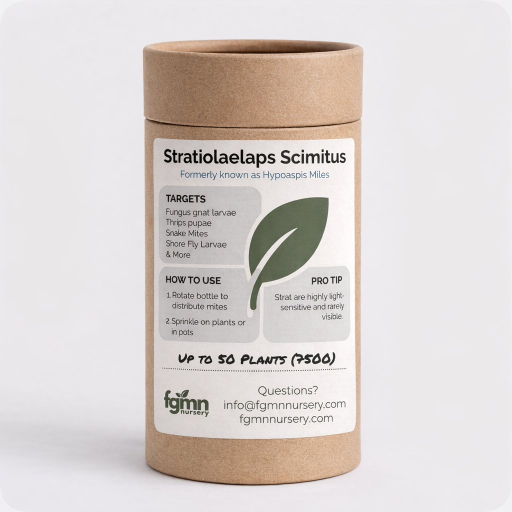 Stratiolaelaps scimitus (Hypoaspsis miles) - Tampa Home & Garden Store