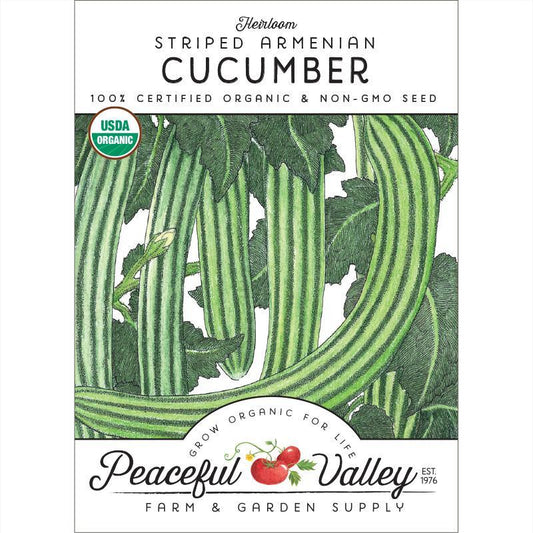 Striped Cucumber Seeds (Organic) - Tampa Home & Garden Store