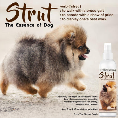 Strut Dog Cologne for the Ruler of the Kingdom - Tampa Home & Garden Store