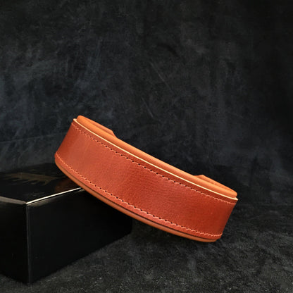 "Stylish" 2 inch wide dog collar - Tampa Home & Garden Store