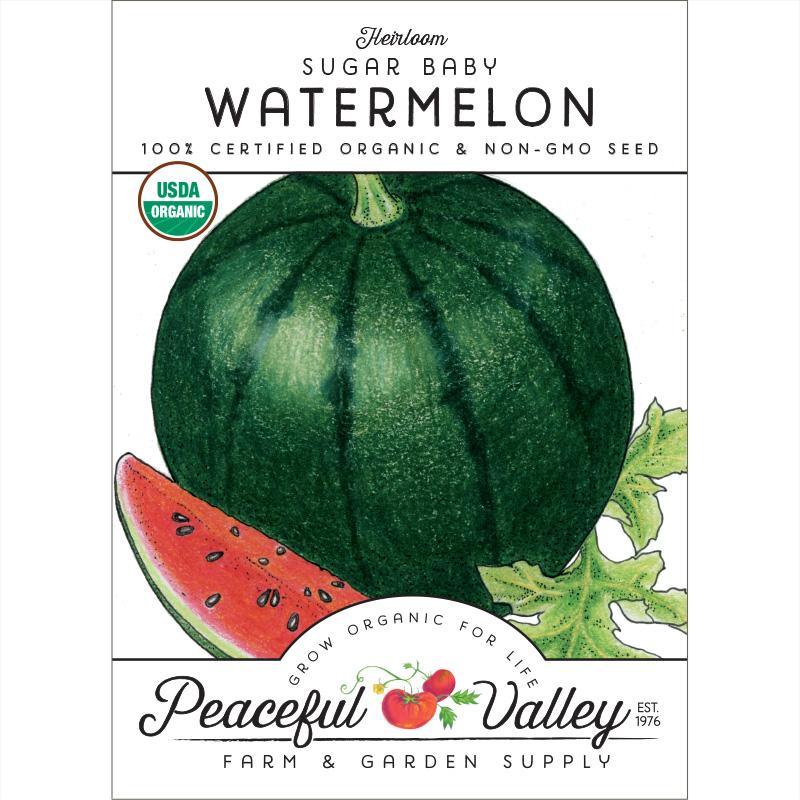 Sugar Baby Watermelon Seeds (Organic) - Tampa Home & Garden Store