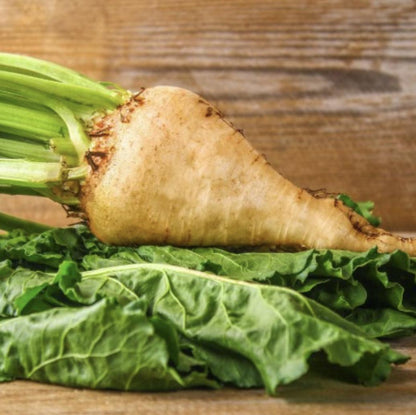 Sugar Beet - 250 Seeds - Non-Gmo Heirloom - Tampa Home & Garden Store
