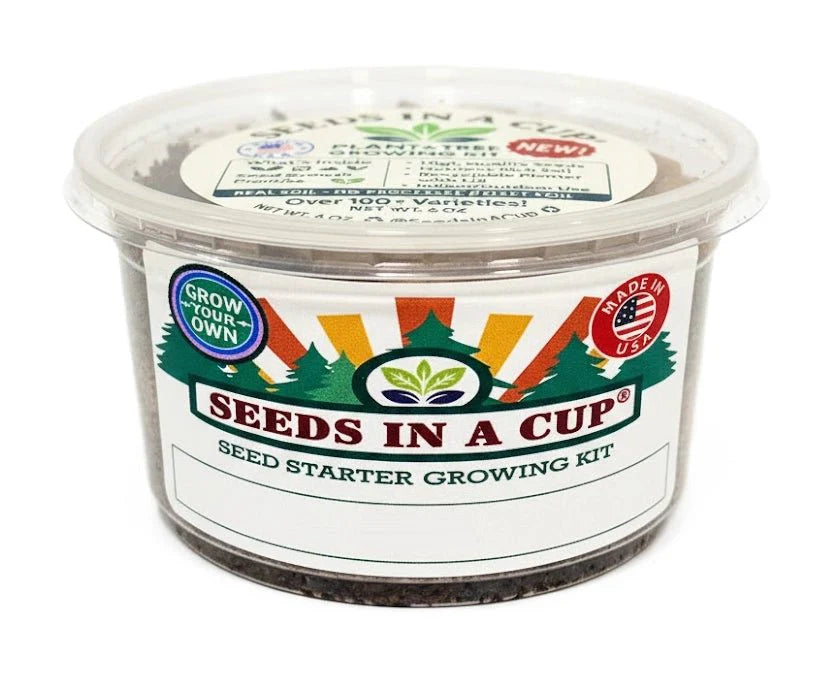 Sunflower Grow Kit - Tampa Home & Garden Store