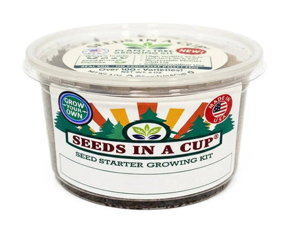 Sunflower Grow Kit - Tampa Home & Garden Store