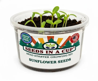 Sunflower Grow Kit - Tampa Home & Garden Store