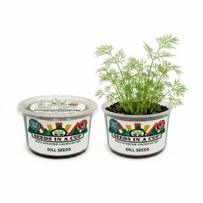 Sunflower Grow Kit - Tampa Home & Garden Store