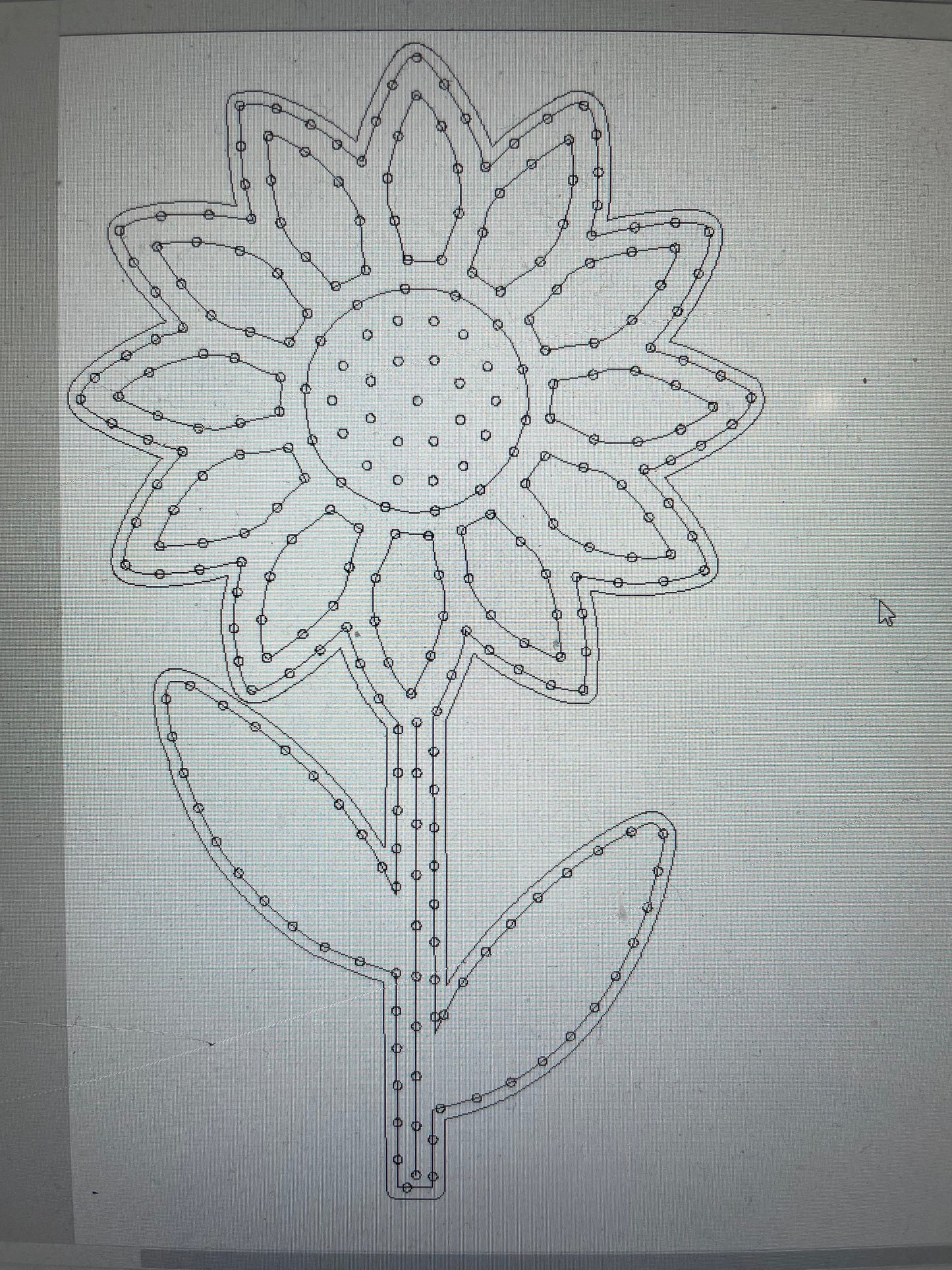 Sunflower - Tampa Home & Garden Store