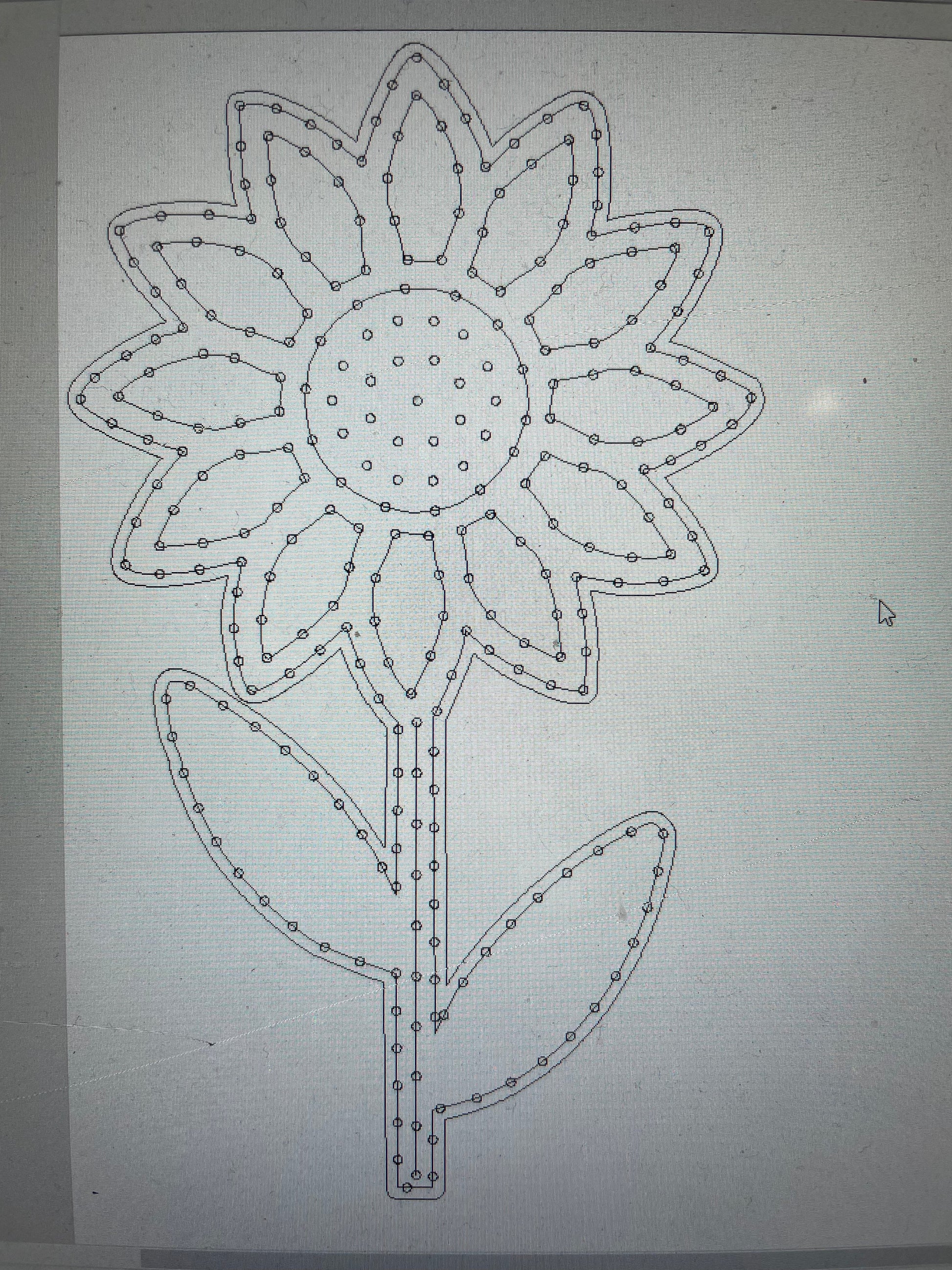 Sunflower - Tampa Home & Garden Store