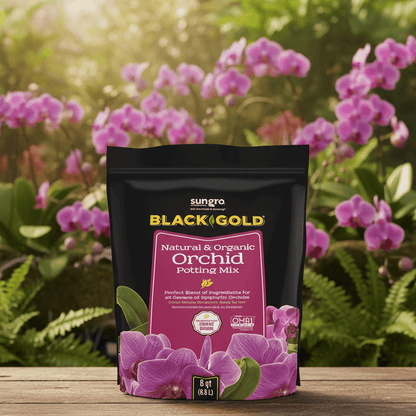 Mélange d'orchidées Black Gold pour rempotage d'orchidées | Mélange d'orchidées