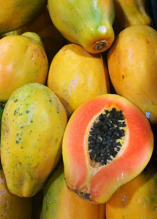 Sunset Solo Papaya Tree (Carica papaya)