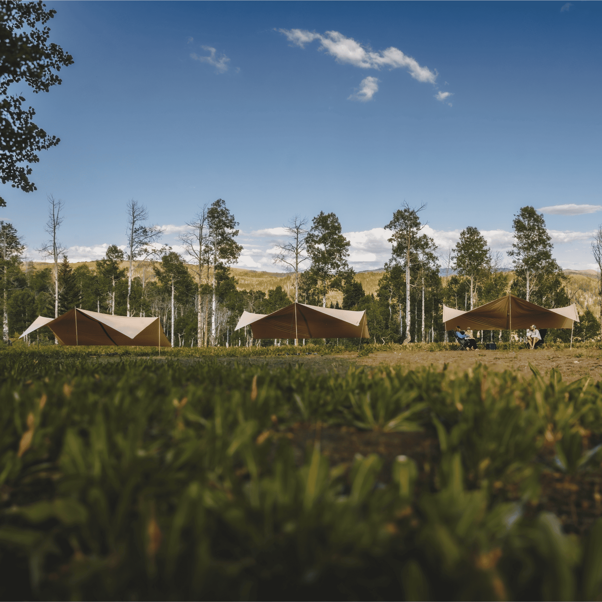 Sunshade Tarp 170 - Tampa Home & Garden Store