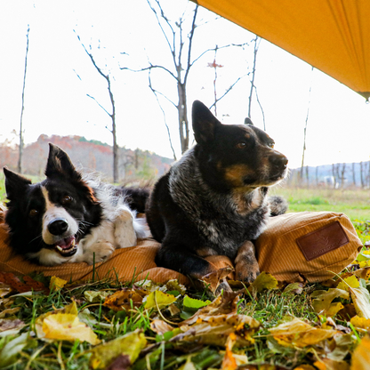 Sunshade Tarp 170 - Tampa Home & Garden Store