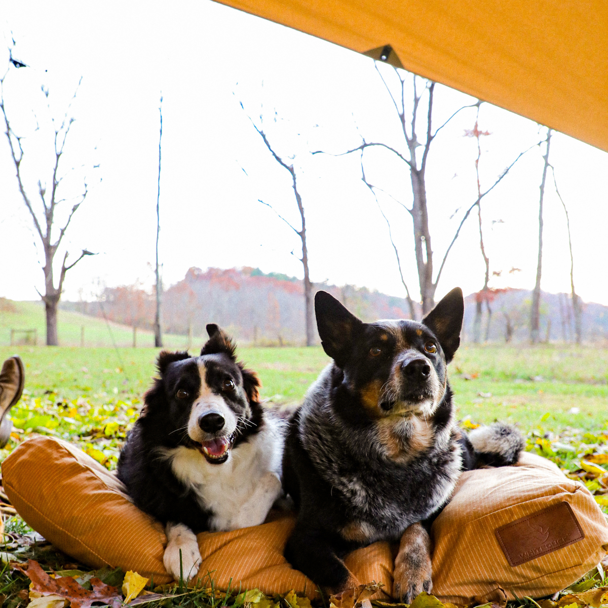 Sunshade Tarp 260 - Tampa Home & Garden Store