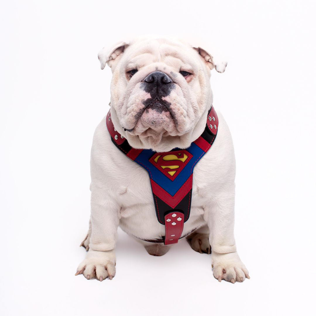 Superdog Harness Medium Size - Tampa Home & Garden Store