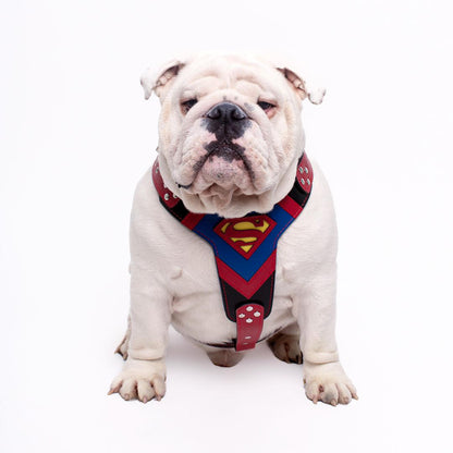 Superdog Harness Medium Size - Tampa Home & Garden Store