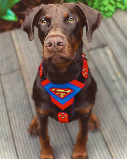 Superdog Harness - Tampa Home & Garden Store