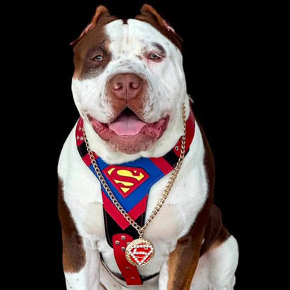 Superdog Harness - Tampa Home & Garden Store