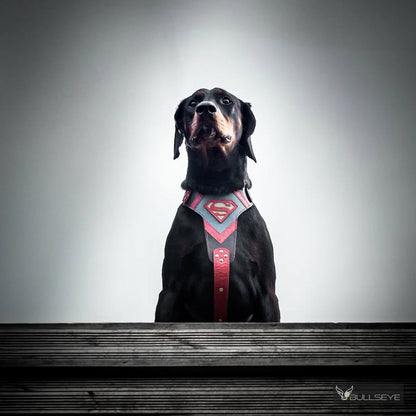 Superdog Harness - Tampa Home & Garden Store