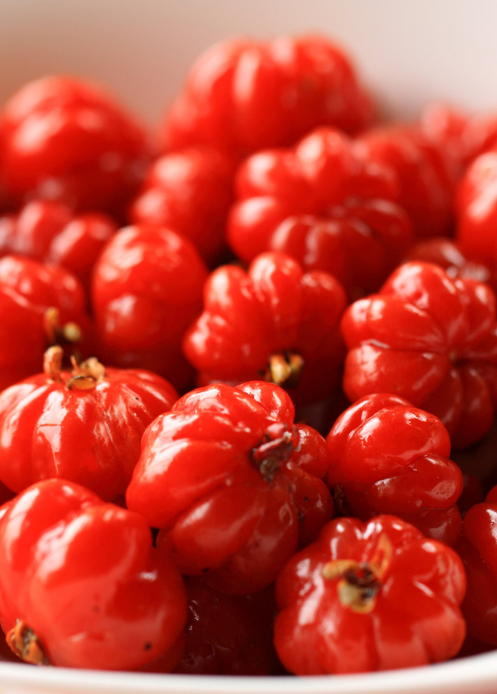 Surinam Cherry (Eugenia uniflora) - Tampa Home & Garden Store