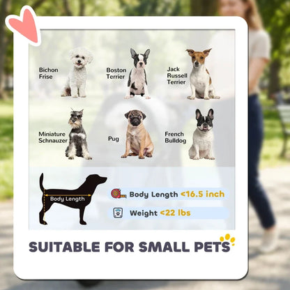 Compact All-Terrain Pet Stroller by Furr Baby Gifts with 6 small dog breeds and size guide on Tampa Home & Garden Store