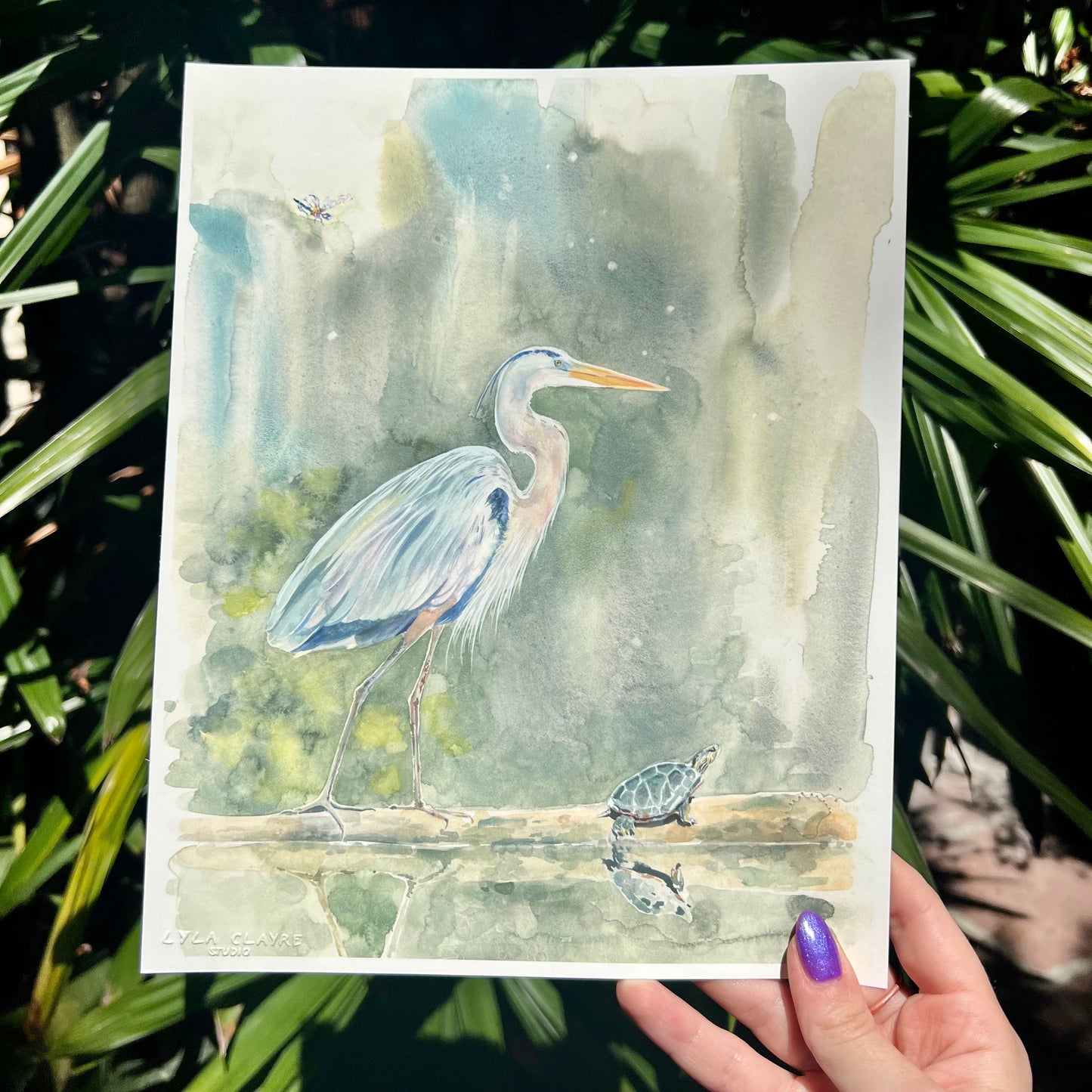 Swamp Friends - Tampa Home & Garden Store