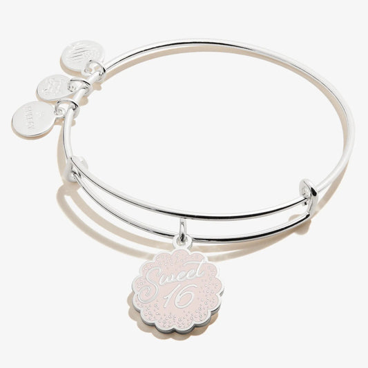 Sweet 16 Charm Bangle silver bracelet with disc charms Alex and Ani and pink Sweet 16 charm on Tampa Home & Garden Store