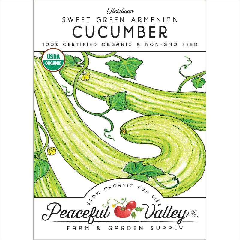 Sweet Green Armenian Cucumber Seeds (Organic) - Tampa Home & Garden Store