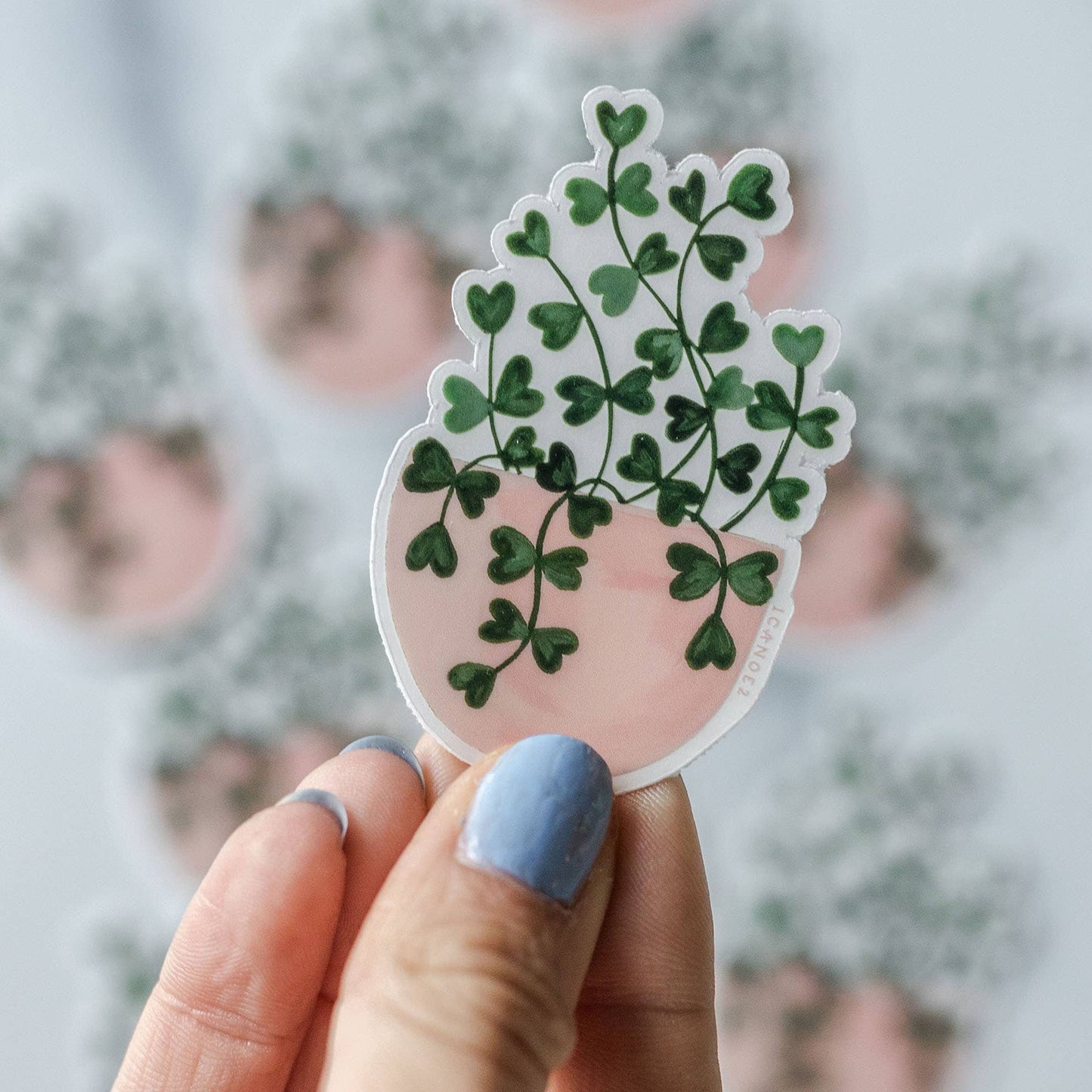 Sweetheart Plant Clear Decal Sticker - Tampa Home & Garden Store