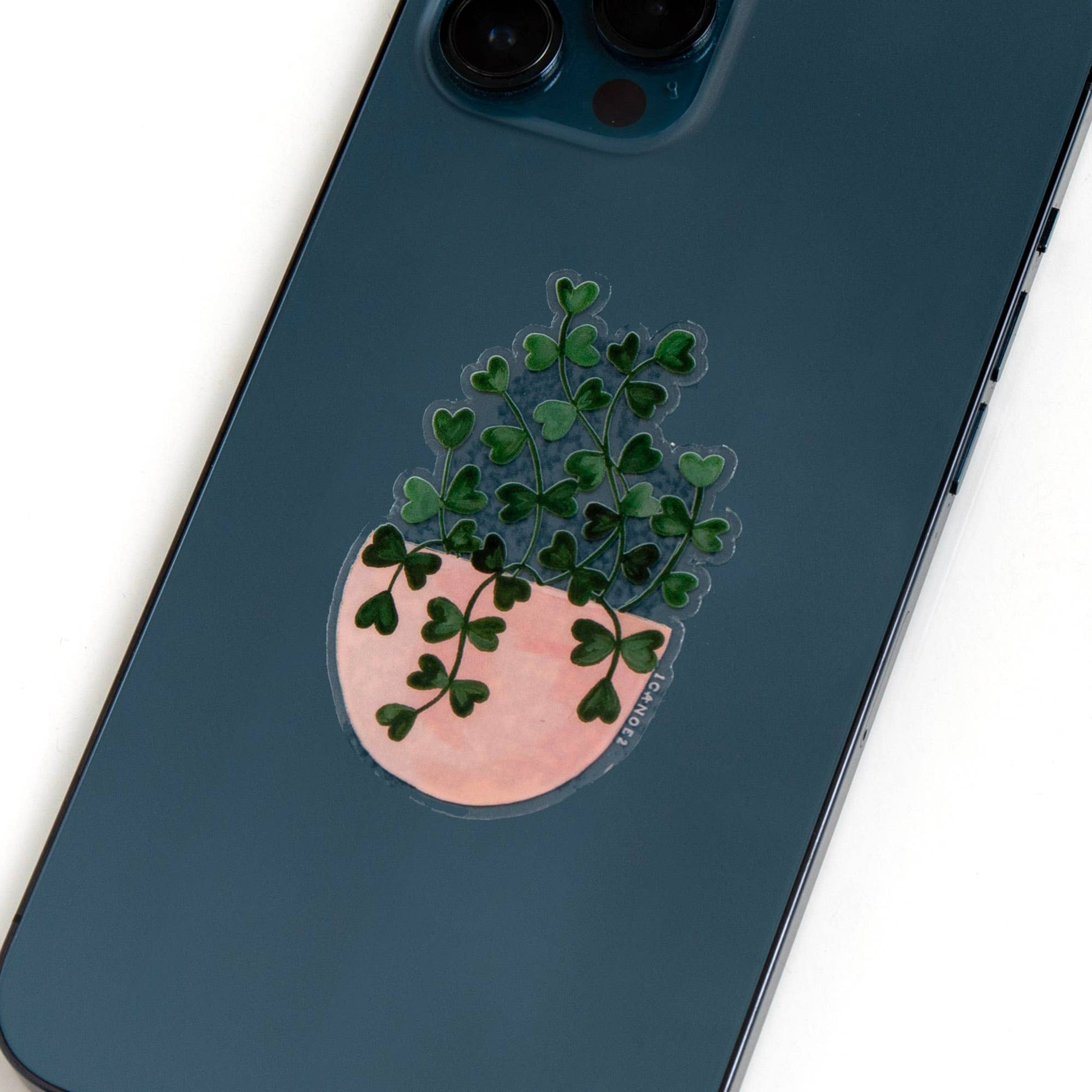 Sweetheart Plant Clear Decal Sticker - Tampa Home & Garden Store