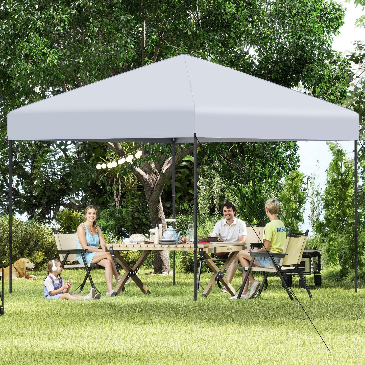 10 X 10 Feet Pop up Canopy Tent with Portable Carrying Bag and 8 Stakes